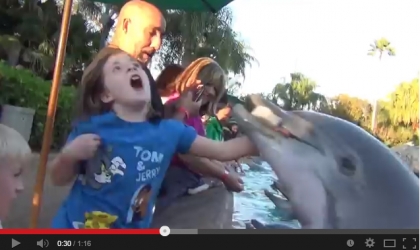 A young girl getting bitten by a dolphin at SeaWorld