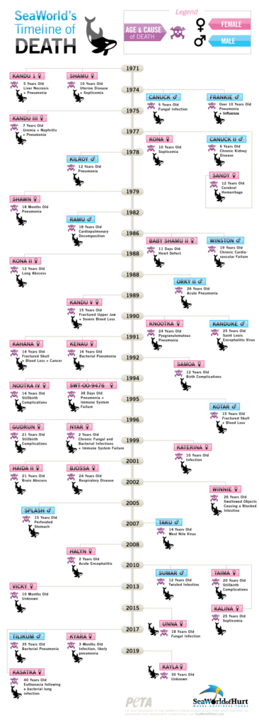 Lives Lost at SeaWorld Parks