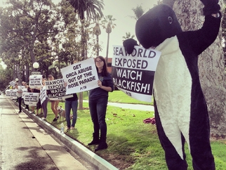 Demonstrators at SeaWorld, including one in an orca costume