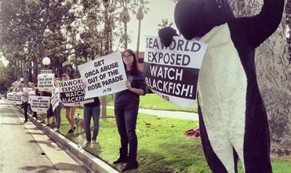 Demonstrators at SeaWorld, including one in an orca costume
