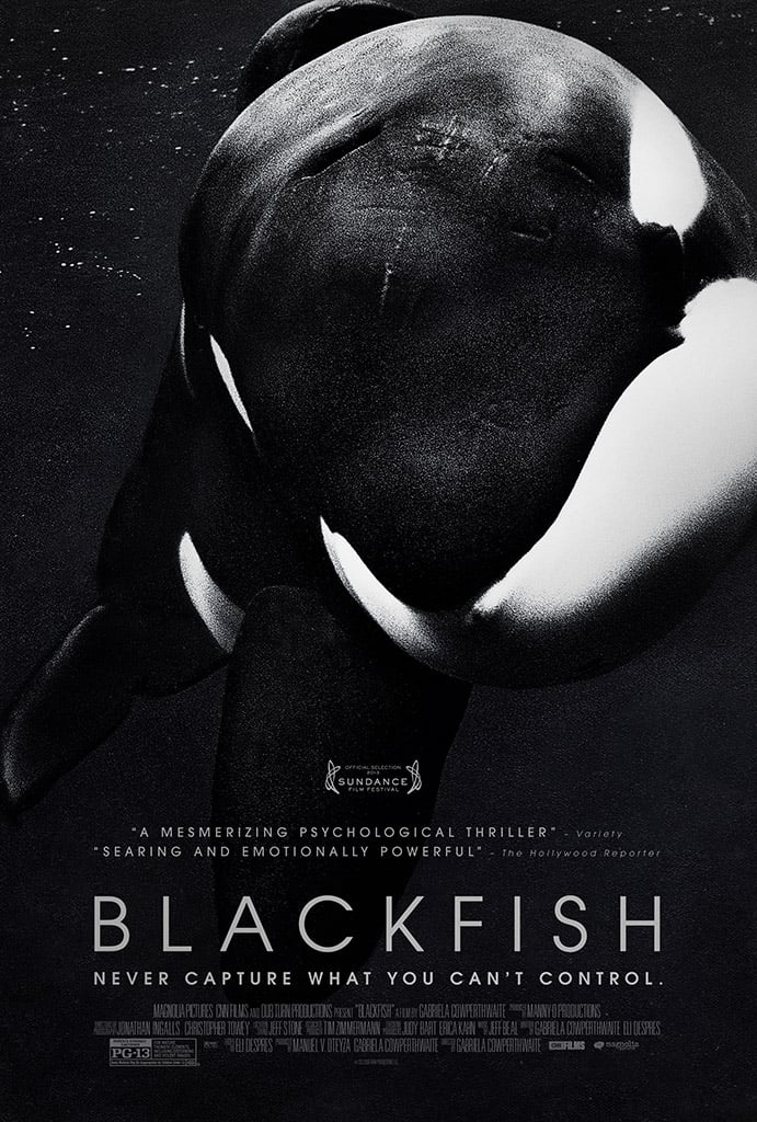 A poster for Blackfish featuring an orca whale in a captivating illustration, highlighting the dark reality of SeaWorld.