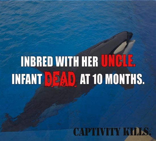 captivity-kills