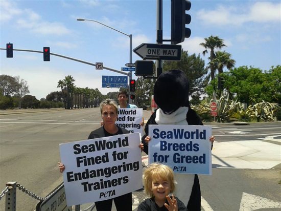 A group of people holding signs that say seaworld.