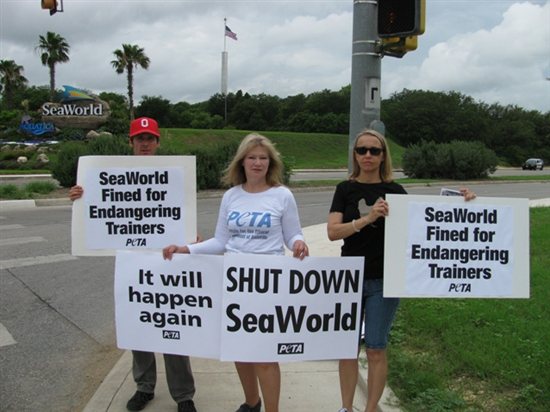 A group of people holding signs that say shut down seaworld again.