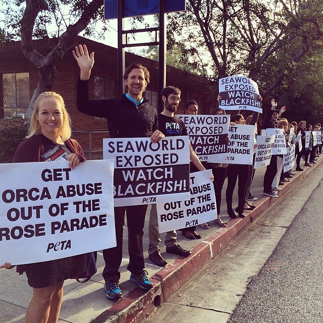 A group of people holding signs on a sidewalk.