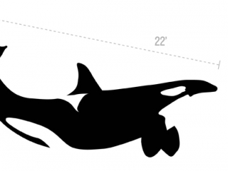 A graphic showing Lolita illustration