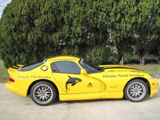 A yellow sports car is parked in front of a tree with "Empty the Tanks" and "Whales need freedom" printed on the side