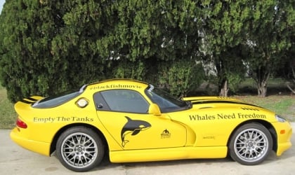 A yellow sports car is parked in front of a tree with "Empty the Tanks" and "Whales need freedom" printed on the side