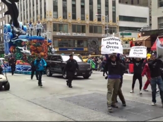 A group of demonstrators jumping the barricade at the Macy's Parada