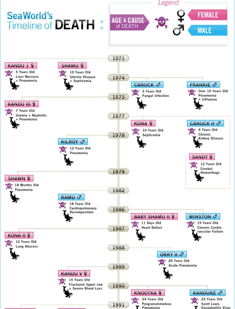 Seaworld's death timeline infographic.