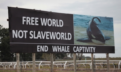 Billboard that says "Free world not slaveworld. End whale captivity"