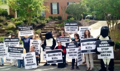 A group of people holding signs in front of a house to protest SeaWorld