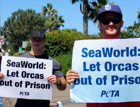 Two men holding signs that say seaworld let orcas out of prison.