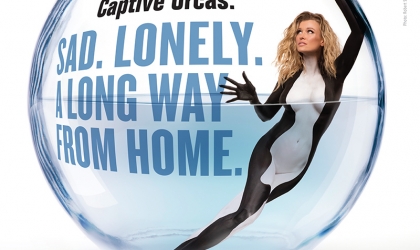 Joanna Krupa in a glass bowl dressed as an orca with the words "Captive Orcas: Sad. Lonely. A Long Way From Home. Boycott SeaWorld"