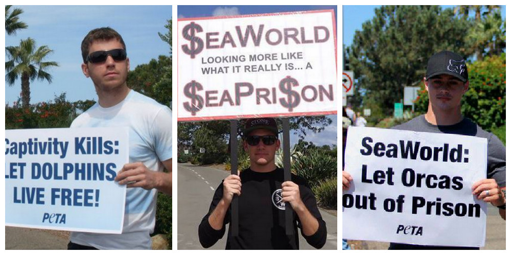 A group of people holding signs that say seaworld dolphins live orcas out of prison.