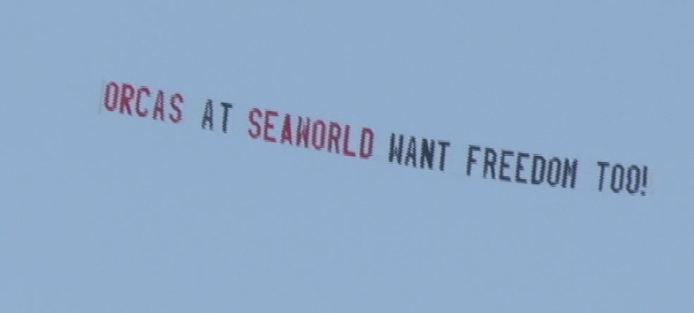 A banner in the sky that says orcas at seaworld at jane freedom 100.