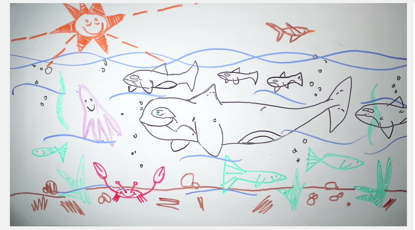 draw my life seaworld