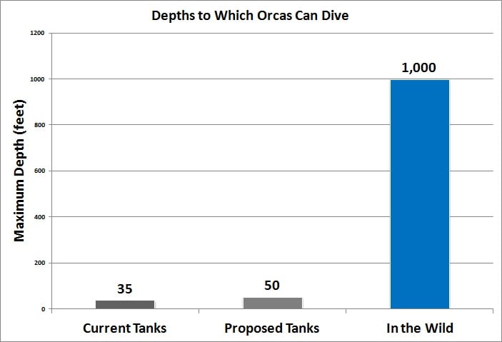 World Of Tanks Comparison Chart