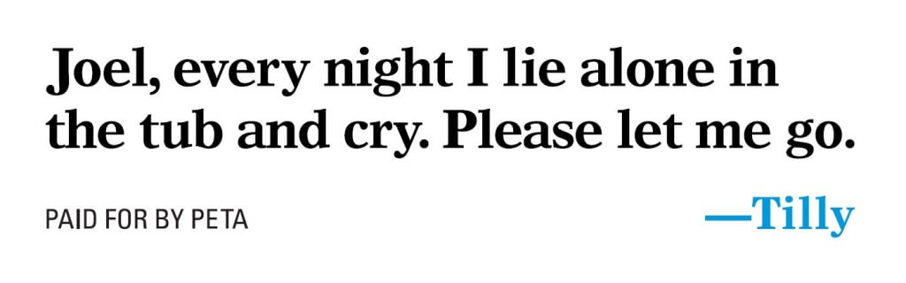 Every night i lie alone in the tub and cry please let me go.