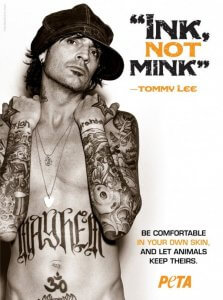 Tommy-Lee