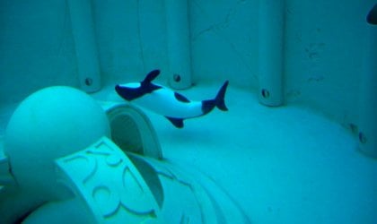 Betsy, one of many commerson's dolphins exploited in marine parks, swims around a tiny tank