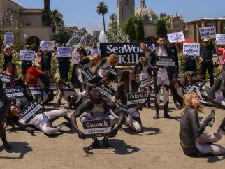 A group of people painted to look like orcas with signs saying seaworld kills.