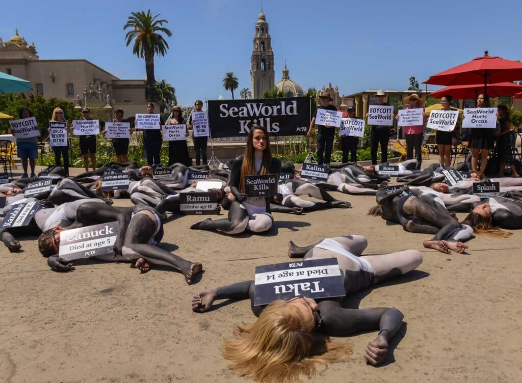 A group of people laying on the ground with signs.