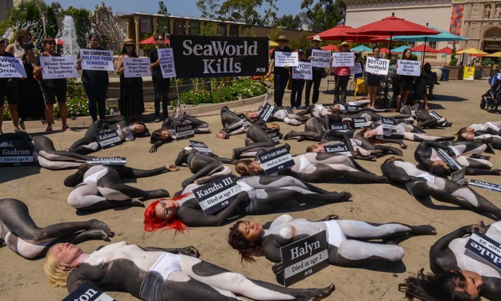 A group of people laying on the ground with signs.