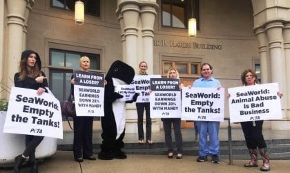 A group of people holding signs in front of a building.