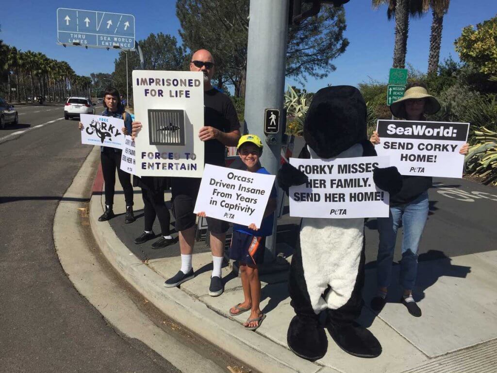 A group of people holding signs and a mascot.