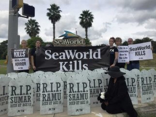 A group of people holding signs that say seaworld kills.