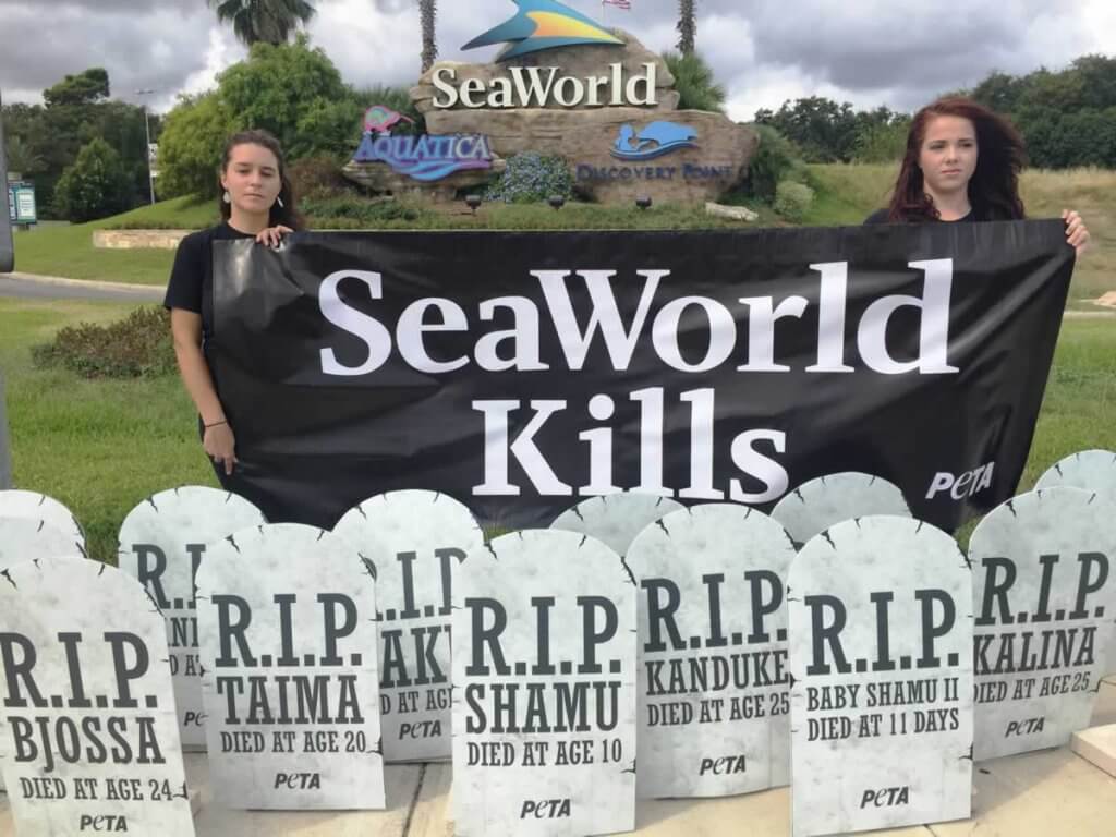 Two women standing in front of a sign that says seaworld kills.