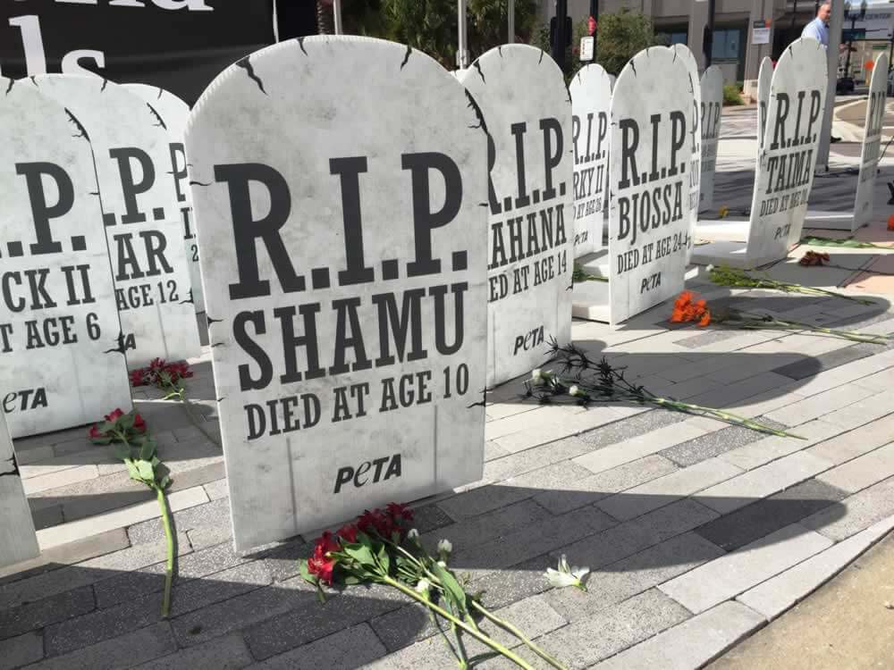 A group of tombstones with flowers on them.