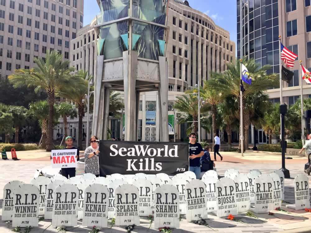 A group of people standing in front of a sign that says seaworld kills.