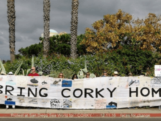 Activists hold a large banner reading "Bring Corky Home" at Corky 47-year anniversary demo