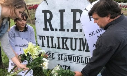 A group of people next to a sign that says R.I.P. Tilikum.