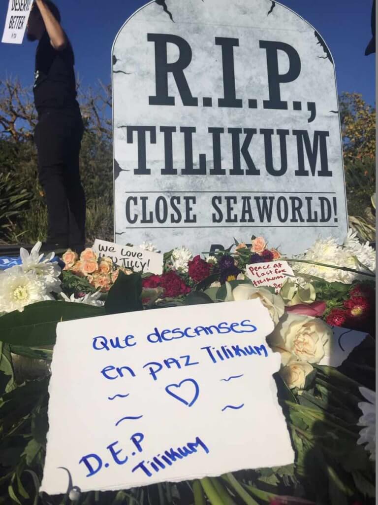 A tilikum memorial with flowers and a sign that says rip.