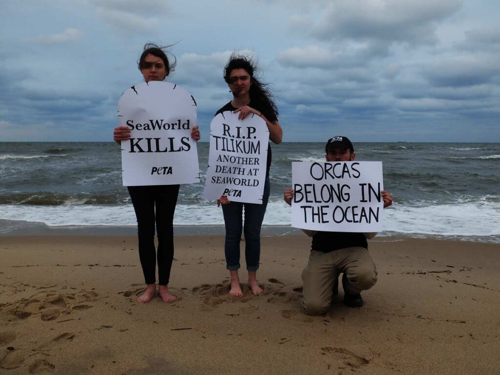 Three women holding signs at the Tilikum memorial on the beach.