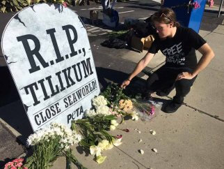 An activist kneels down next to a Tilikum memorial sign.