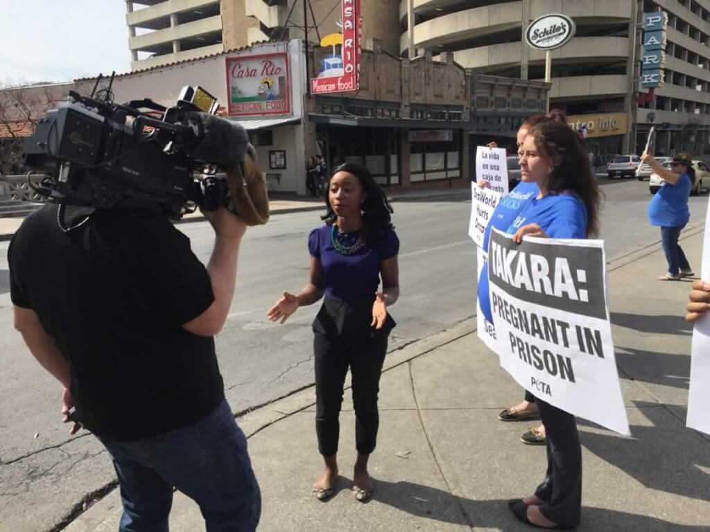 A group of people holding signs in front of a television camera.