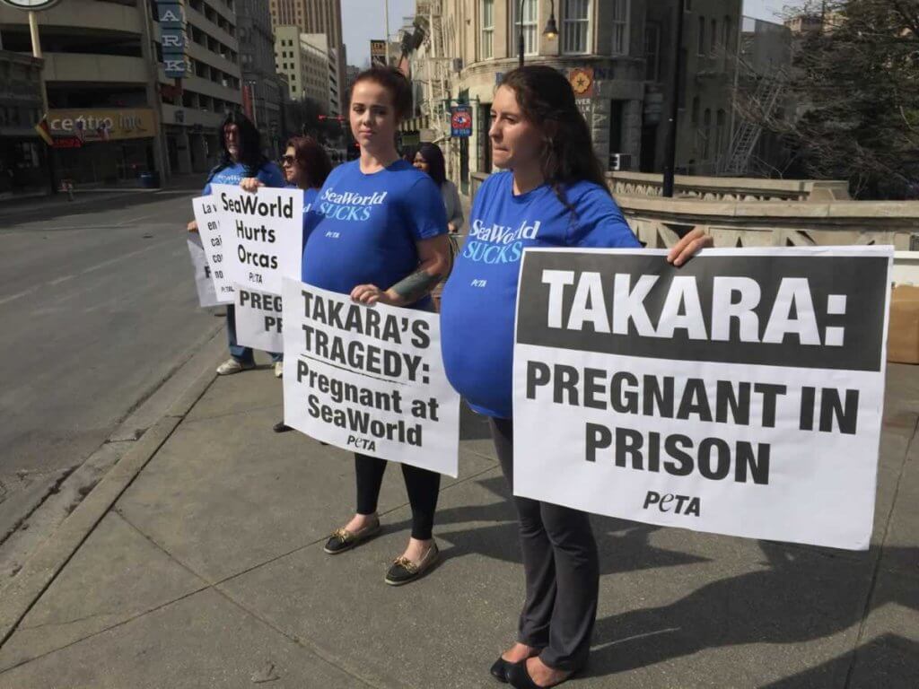 Women holding signs that say takara pregnant in prison.