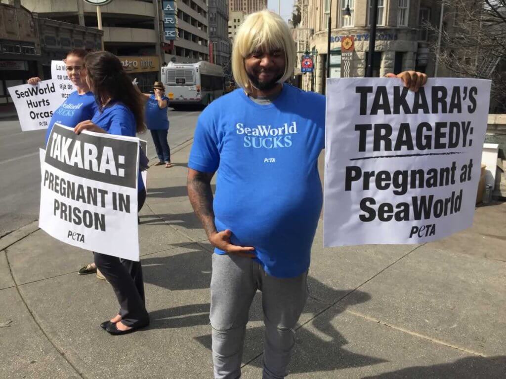 A man holding a sign that says takara's tragedy pregnant at sea world.