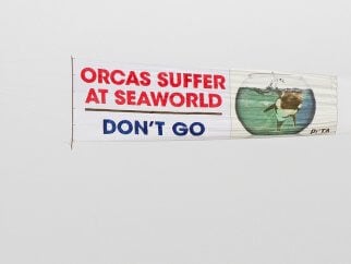 a plane banner urges people not to go to SeaWorld San Antonio