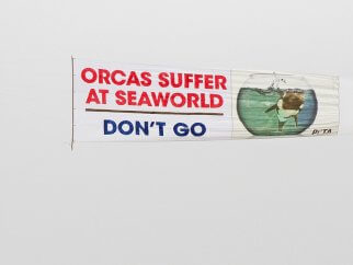 a plane banner urges people not to go to SeaWorld San Antonio