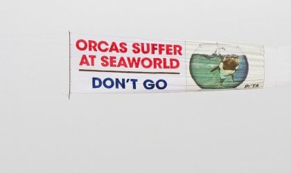 a plane banner urges people not to go to SeaWorld San Antonio