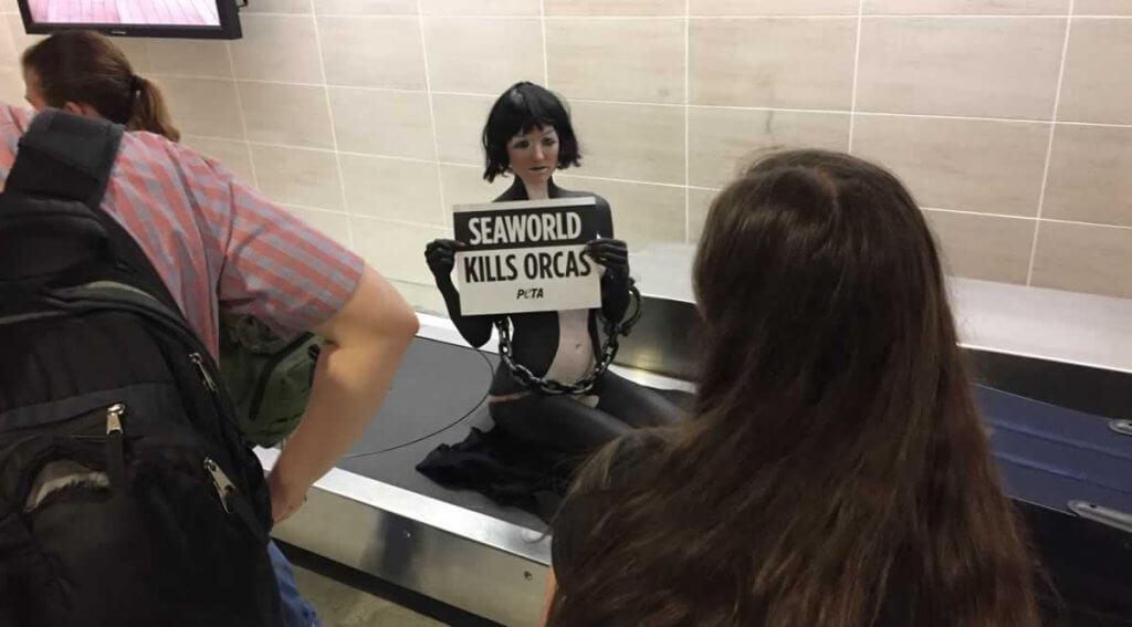 A group of people looking at a luggage with a sign on it.