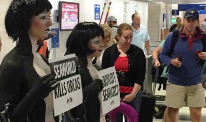 A group of people holding anti-SeaWorld signs in an airport.