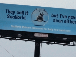 Anti-SeaWorld billboard with orca in fishbowl and text reading, "They Call It SeaWorld, But I've Never Seen Either."