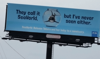 Anti-SeaWorld billboard with orca in fishbowl and text reading, "They Call It SeaWorld, But I've Never Seen Either."