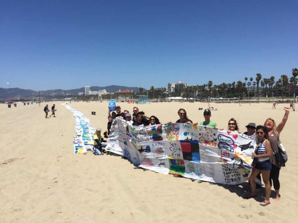 A group of people standing on the beach with a Seaworld banner.